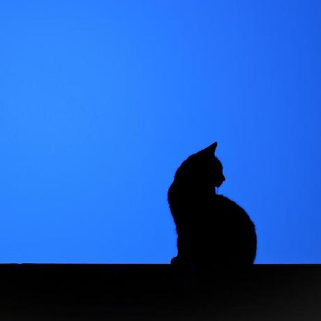 Tritium0041 Tritium Github - Download Perfect Gradient Background | 8K