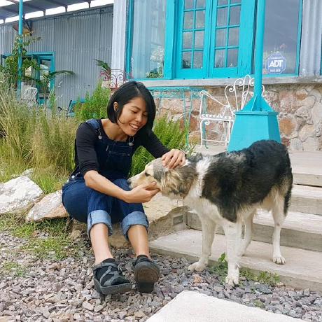 Meowmerry Thasanee Puttamadilok Github - Ultra HD Nature Textures for Desktop