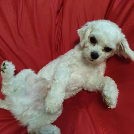 Woojinjeonkr Jeon Woojin Github - Download Incredible Vintage Photo | Mobile