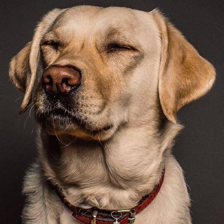 Georgian Github - Creative Gradient Image - Ultra HD