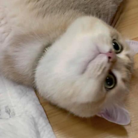 Isylsy166 Soyeon Github - Download High Quality Minimal Design | Mobile