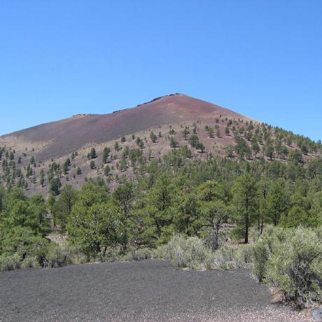 Github Daniellaughlin Communityecology Code And Data For Community - Professional Sunset Illustration - 8K