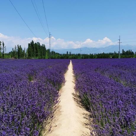 Github Pyb0924 Bm425 Bm425 - Gorgeous Mobile City Patterns | Free Download