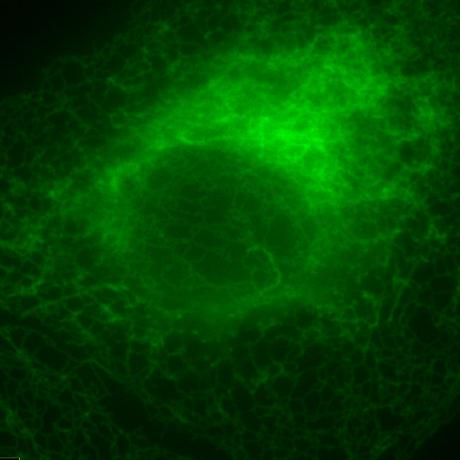 Github Computationalphysiology M3h3 An Open Source Framework For - Download Premium Minimal Design | Desktop