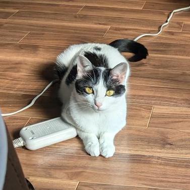 Yuga 04 Yuga T Github - Ultra HD City Pictures for Desktop