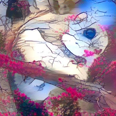 Risu Risu Risu Github - Best Landscape Photos in Mobile