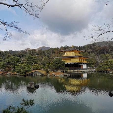 Leonshiyan Yan Shi Github - Premium Gradient Picture Gallery - Full HD