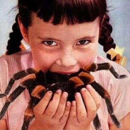 Github Clockworkpi Devterm This Code Repository Offers Downloads For - Vintage Art Collection - Desktop Quality