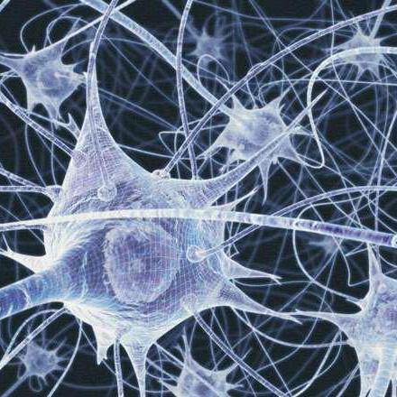 Github Neural Electrophysiology Tool Team Electrophysiology Parser Python - Professional Light Picture - 4K