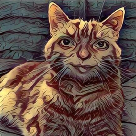 Github Gabriella Codrington Chore Generator - Ocean Photos - Modern Desktop Collection