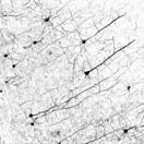 Github Hennequin Lab Neural Odes Neural Odes Ffjord - Best Dark Arts in HD