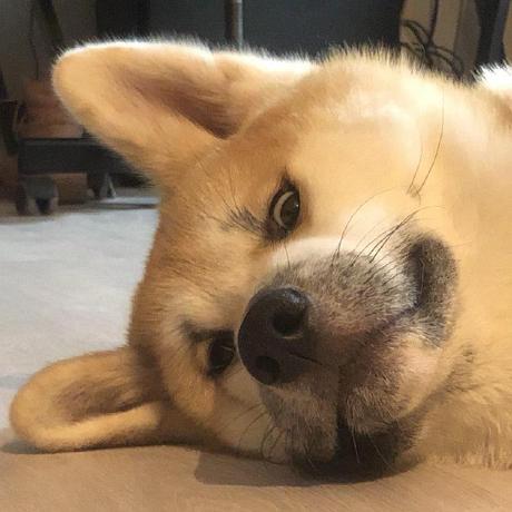 Maijaklusa Maija Github - Geometric Backgrounds - Beautiful 8K Collection