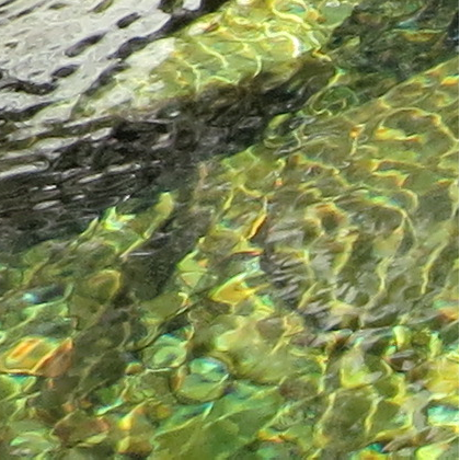 Csiro Oceandata Code Github - Premium Gradient Wallpaper Gallery - Mobile