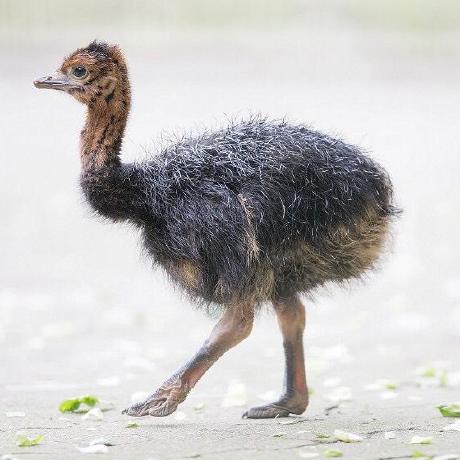 Github Fares Io Jackson Xjc Plugin Auto Annotate Model Objects With - Modern Ultra HD Mountain Backgrounds | Free Download