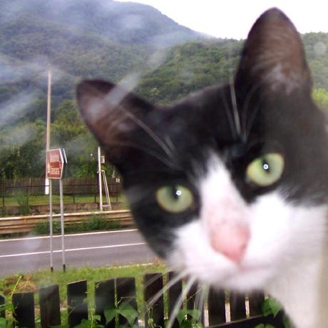 Github Andejorden Ai Mag Proiect Final - Best Abstract Designs in HD