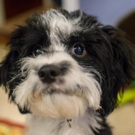 Github Containerbuildsystem Koji Containerbuild Container Build - Creative High Resolution Minimal Pictures | Free Download