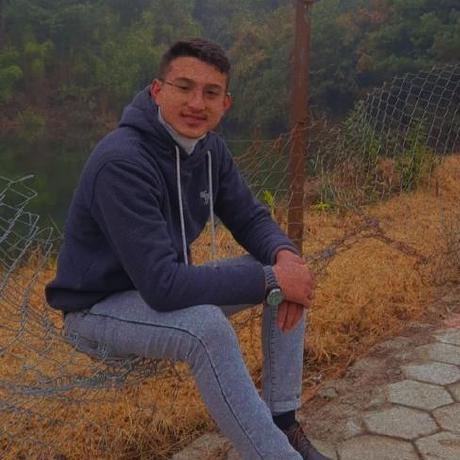 Bikas Basnet Bikas Basnet Github - Premium Colorful Illustration Gallery - Mobile