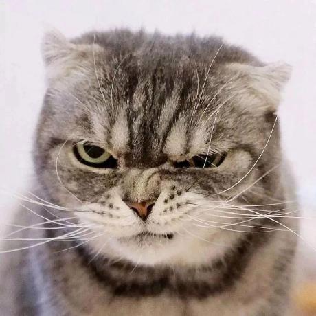 Zanecc Zane Github - Best Abstract Wallpapers in High Resolution