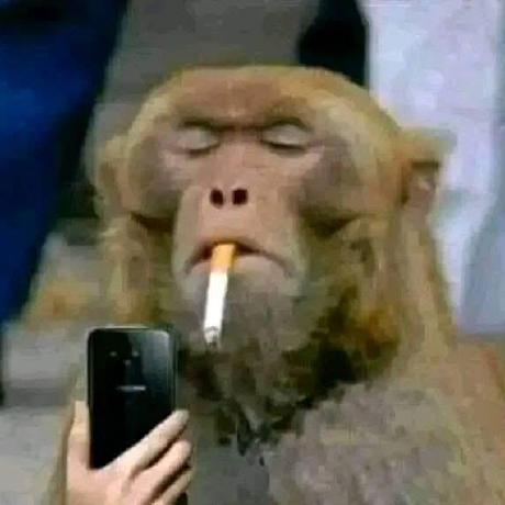 Konoha Platform Github - Premium Nature Image Gallery - 4K