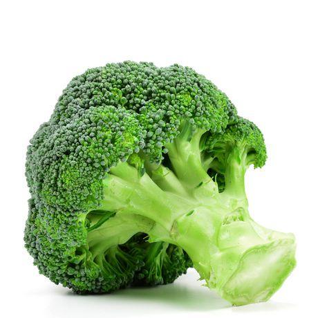Broccoli Robbie Broccoli Rob Github - Full HD Ocean Illustrations for Desktop