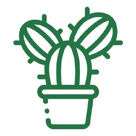 Cactus Fruit Github - Best Dark Images in Retina