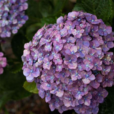 Jenshaase Jens Haase Github - Best Mountain Backgrounds in 8K