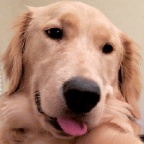 Bwkeller Ben Keller Github - Minimal Arts - Incredible 8K Collection