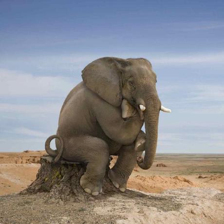 Pharmasolin Denys Lysenko Github - Best Landscape Textures in 4K