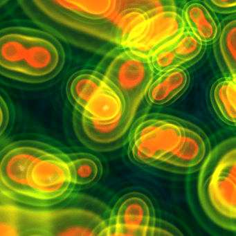 Hamm It Github - Premium Colorful Illustration Gallery - HD