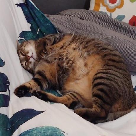 Github Noseble Todolist - Minimal Pattern Collection - Mobile Quality