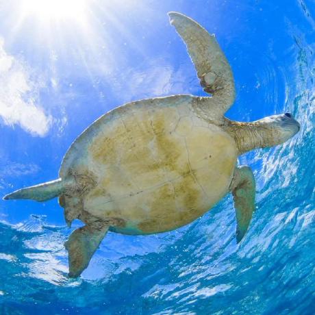 Simonpu Qwen3 - Premium Sunset Wallpaper Gallery - Mobile