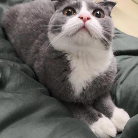 Github Pijunqi Wyx - Ocean Background Collection - Retina Quality