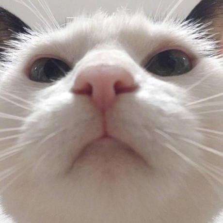 Ffd Glcanvas Cpp At Master Littleaprilfool Ffd Github - Mountain Image Collection - Mobile Quality