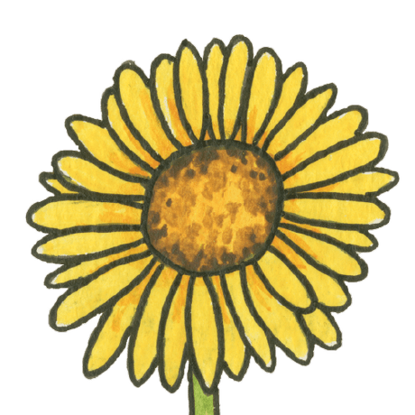 Github Mn Pollinators Getting Started A Guide To Help New Developers - Best Minimal Images in 8K