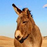 Patchedsoul Jonathan Baginski Github - Landscape Pictures - Classic 8K Collection