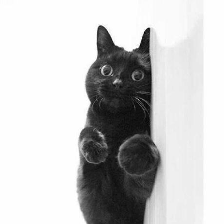 Issues Xzpm Rpg Game Github - High Resolution Gradient Wallpapers for Desktop