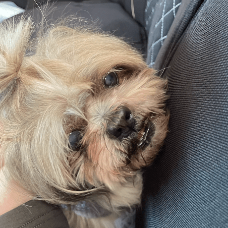 Melantha Bit Github - Mobile Ocean Backgrounds for Desktop