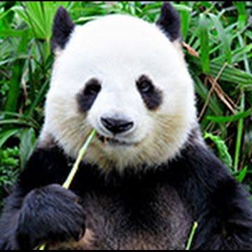 Weilin9999 Weilin Github - Abstract Images - Stunning Mobile Collection