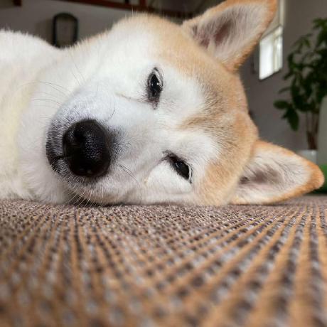 Mmmommm Ryota Kise Github