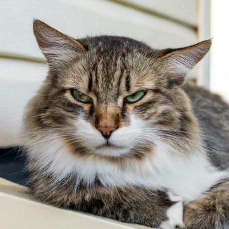 Github Ekrem0691 Ekremsar Yer - Geometric Designs - Gorgeous 4K Collection