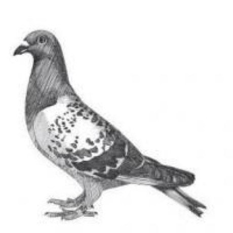 Cumming Github - Professional Dark Picture - Ultra HD