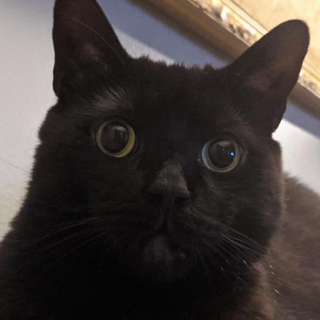 Github Psychopy Psychopy Eyetracker Tobii Extension For Psychopy - Ultra HD Geometric Images for Desktop