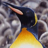 Github Muxuezi Lianjia - Landscape Designs - Beautiful 8K Collection