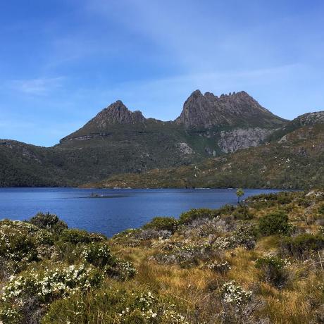 Stockholm Agi Lab Github - Best Mountain Illustrations in Mobile