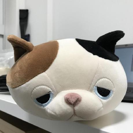 Shingohayashida Shingo Hayashida Github - Premium 8K Light Arts | Free Download