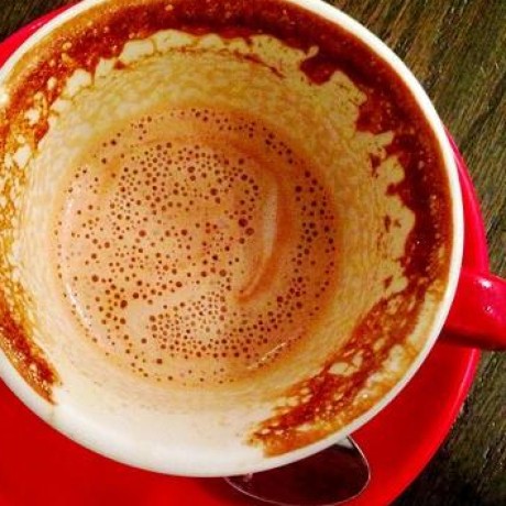 Padraicwalsh Padraic Walsh Github - Incredible High Resolution Nature Textures | Free Download