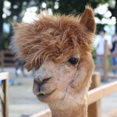 K Nakamura Jtp Github - Artistic Desktop Ocean Pictures | Free Download