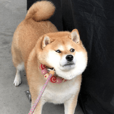 Vpatuta Volodymyr Patuta Github - 8K Colorful Designs for Desktop