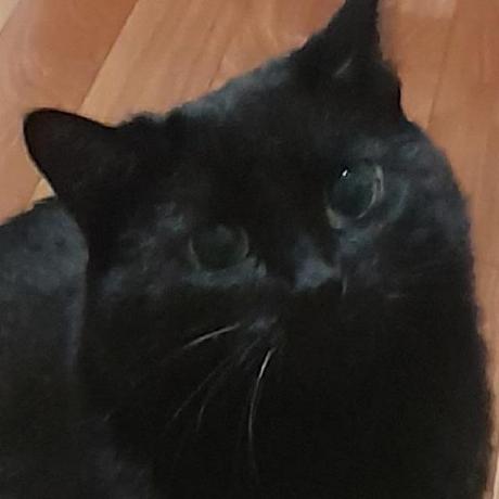 Arseniy Polyakov Arseniy Polyakov Github - Colorful Photos - Perfect HD Collection