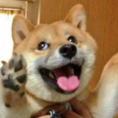 Github Wavjaby 1122 Ncku Compiler - Retina Dark Photos for Desktop